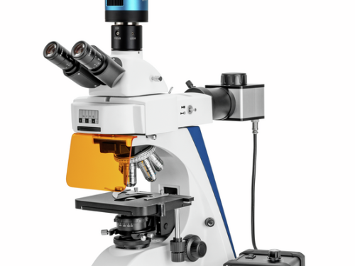 Microscopes