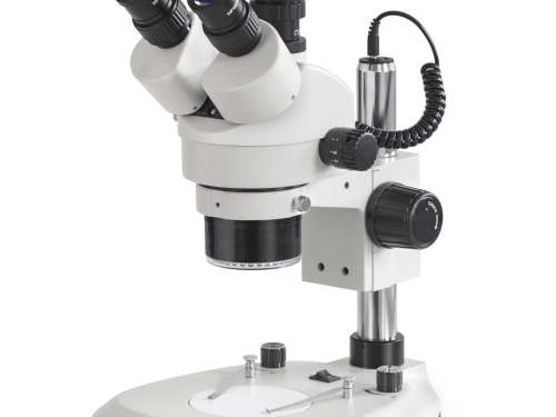 Microscopes stéréo